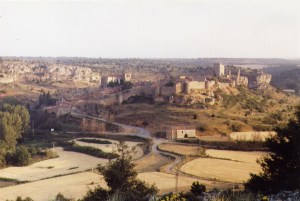 Ribera Soriana 2