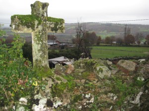 Camino de Santiago 1