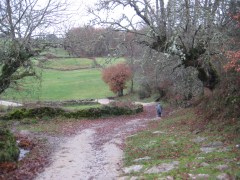 Camino de Santiago 3