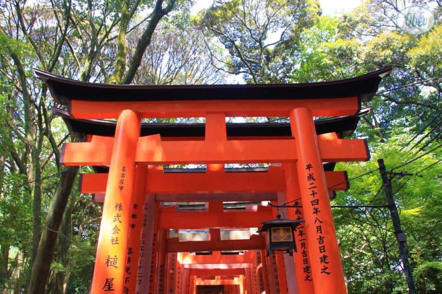 Santuario Fushimi Inari 3