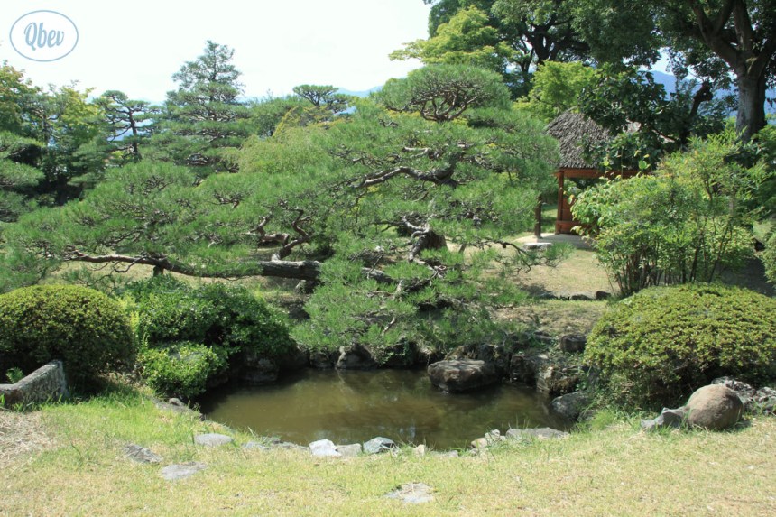 jardines-matsuhiro