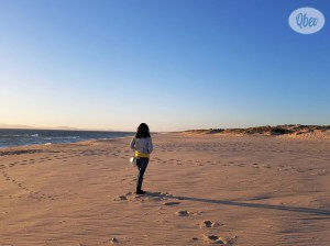 Playa do Carvalhal 1