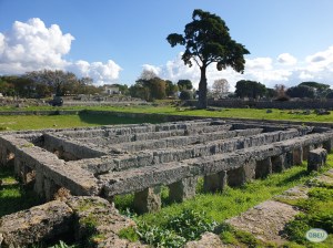 Paestum 4
