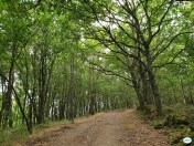 Camino Mirador Cabo do Mundo